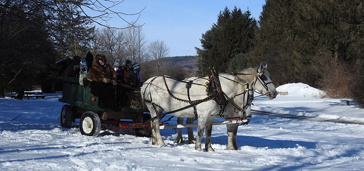 Enjoy The Season At Rogers' 47th Annual Winter Living Celebration